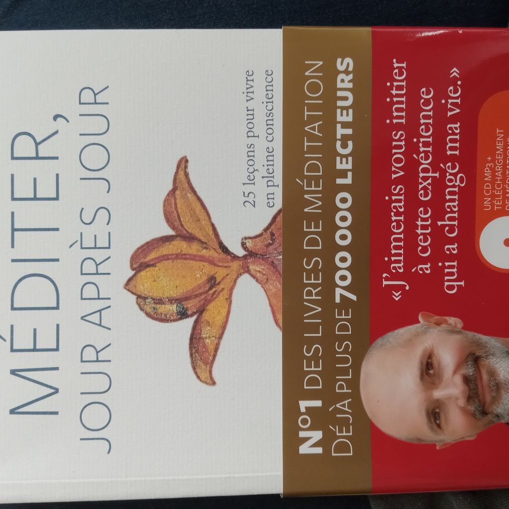Méditer Jour Après Jour Book